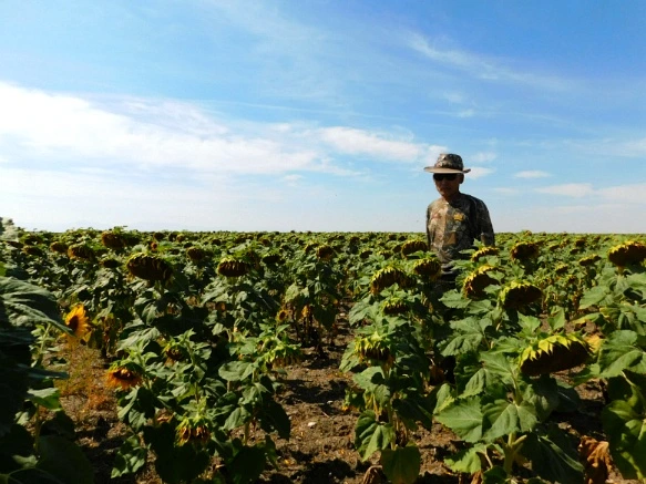 99A58B33599F9D831208C0