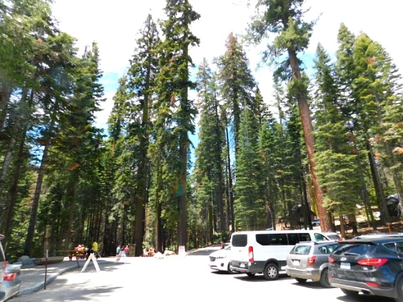 244B913D5772192708DA11