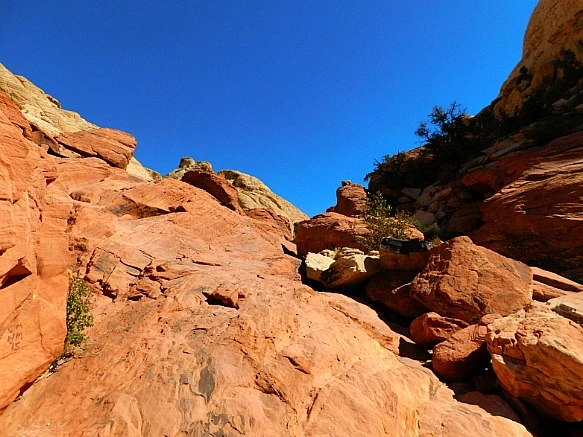 9902D6355BCD1D9E0CB85A