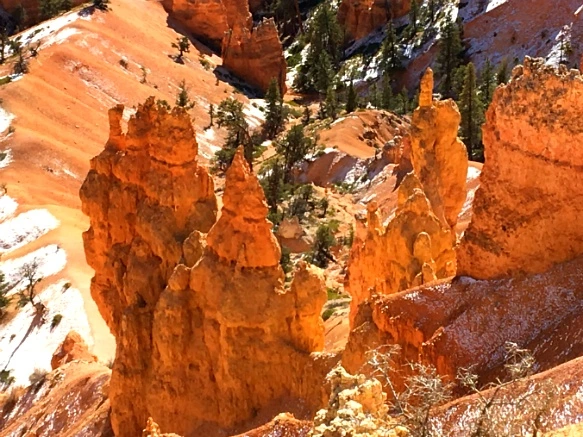 997EFE335A1A4A9435DFD5