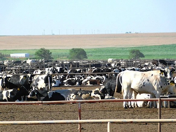 2323E9355782FDCE2903CD