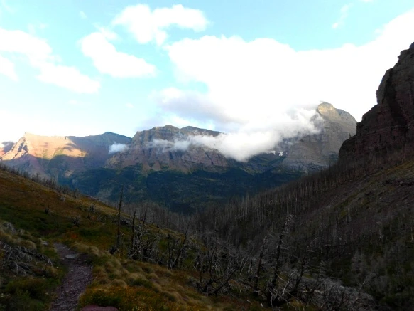 99C3F14F5BA062BD1A606D