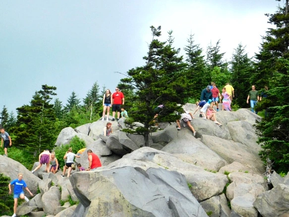 260BB64E595097FA06C206