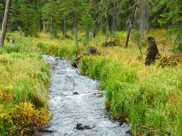 993AA63359BF471E19F2B2