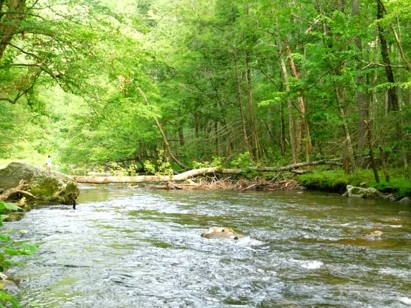 24282D4859509A41366A35