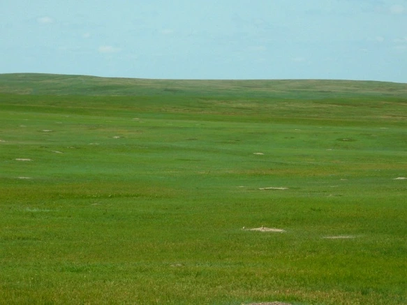 99674E445B4806D4230246