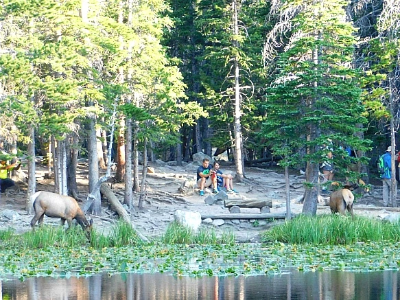 997F83475B7268D71BB487