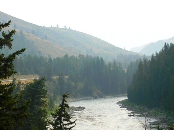 9982D13359B1EA90254D5E