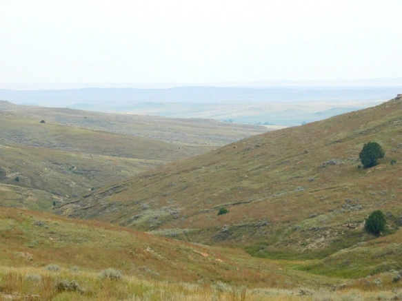 99932F4E5B77A1F715BBA1