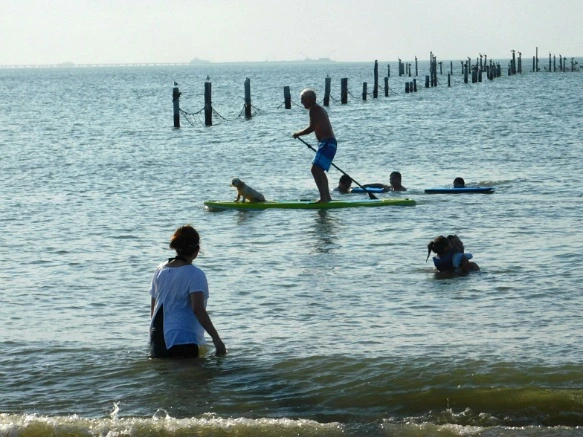 99D5043D5B5FC3F428C188