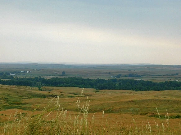 99F893465B8379E6215F68