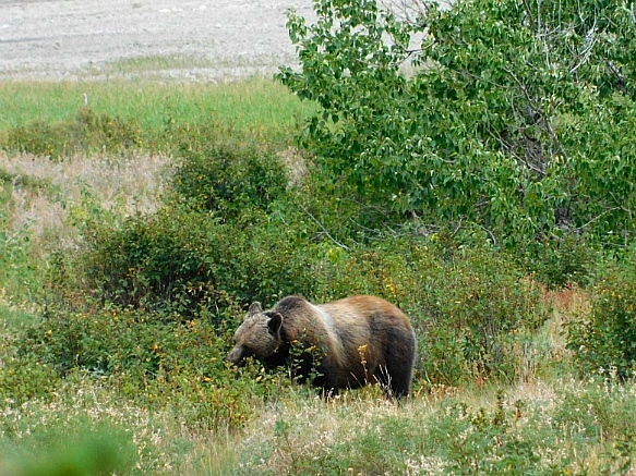 9920CC505B8F3967167D94