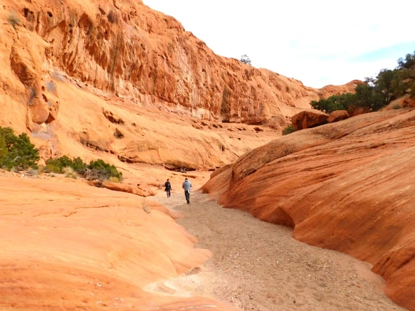 992428335A18D4E808AE67