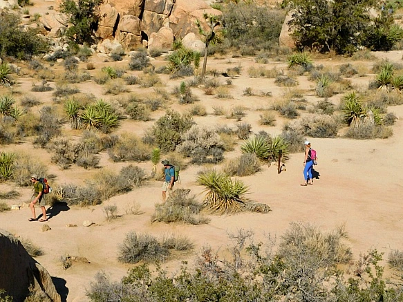 998FCF455BE4EF242697BA