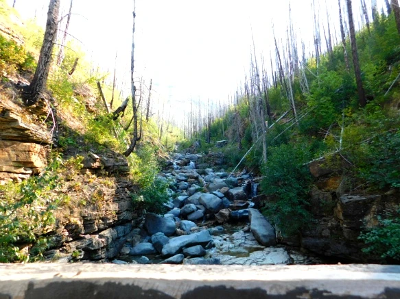 9988C43359A246A02FB5DE