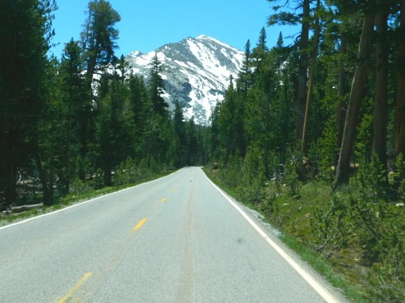 24661542577218E42F189C