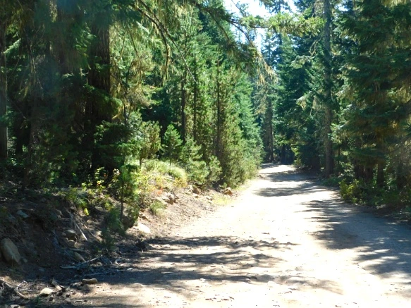 99D1053359A62C6A2E526B