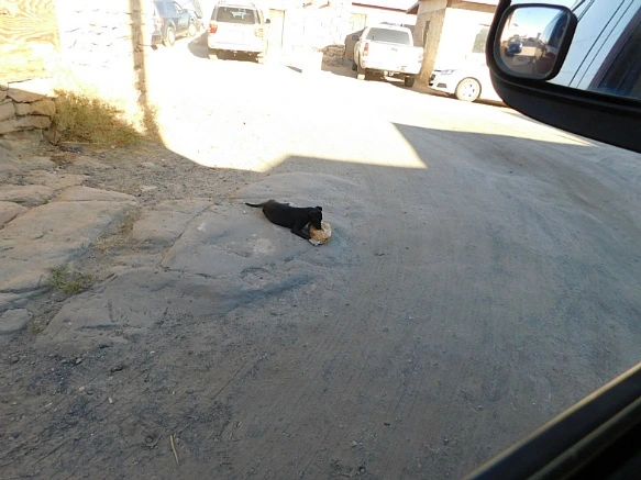 251C7A36577F1EB0054BDB