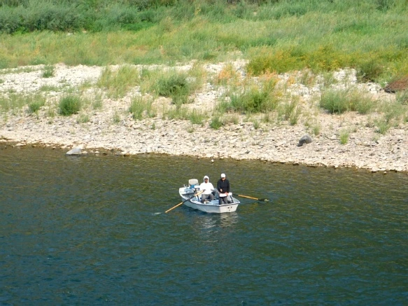 9963873359A3831217761C