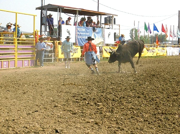 9928CC365B7DA049048126