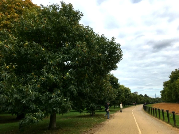 99ED6C3359D8A7F207C42B