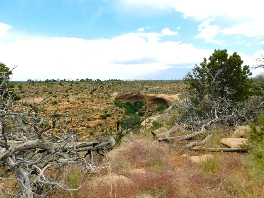 275EAE4657622ACD2174D7