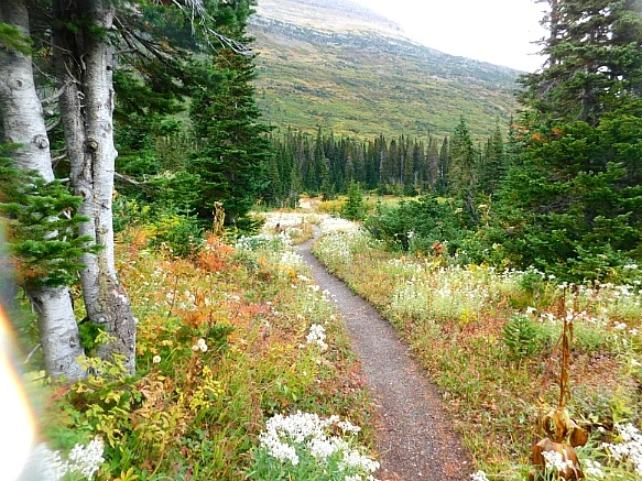 99B73D445BAAFDE20CE351