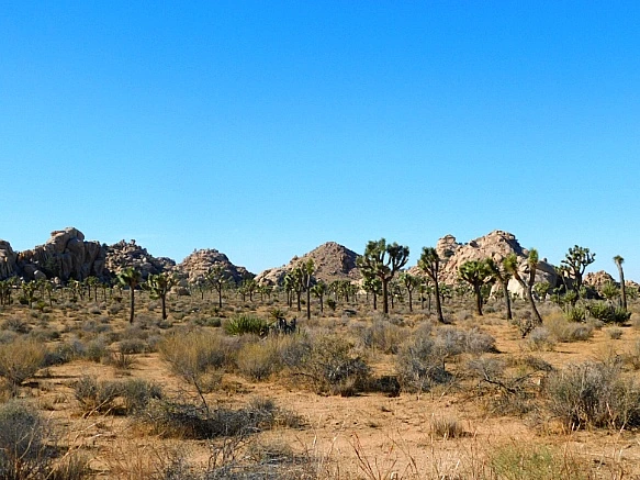 996141455BE4EF2F275B3E