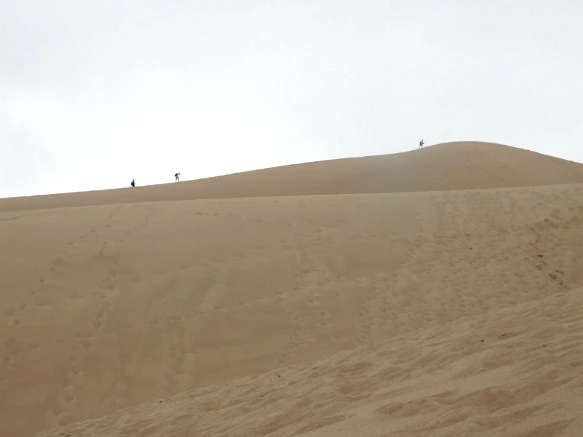 99A5CE475B6925B91DF922