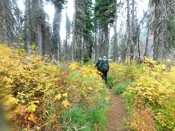 992F724A5BAAF9B204D5B3