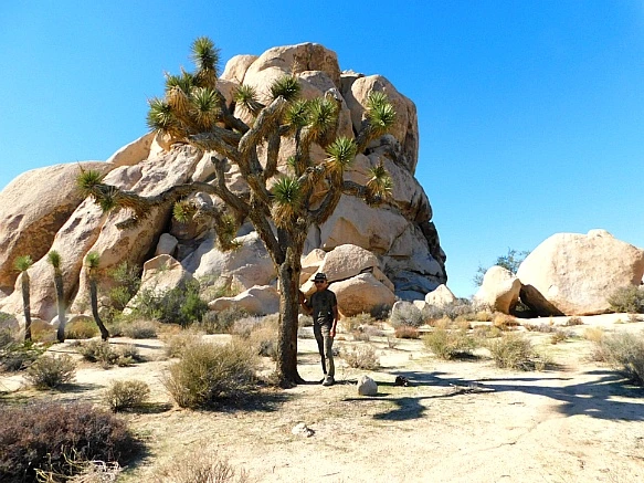 992183475BE11CBB01DDF1