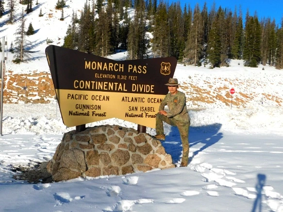 99237B335A0E545C31CFFD