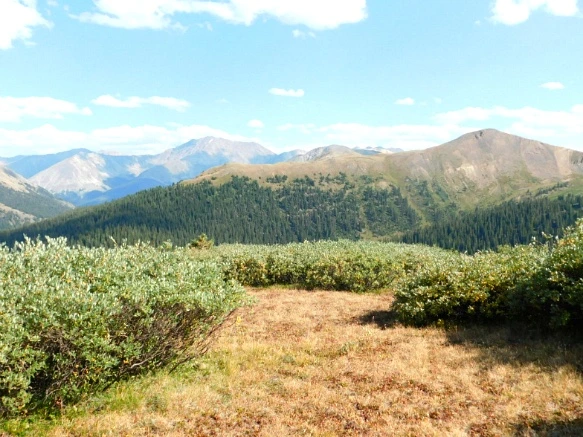 99C9254A5B6BA33F324A86