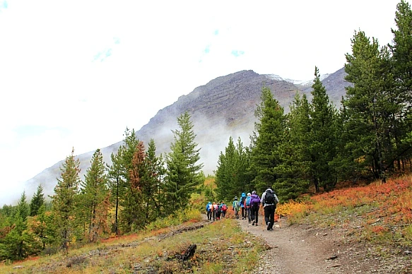 998137445BA30DF3343E67