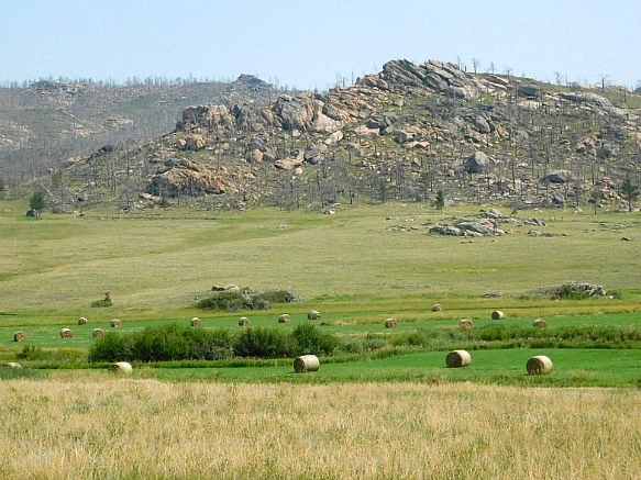 99D336455B765410267726