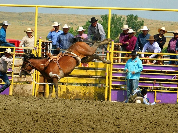 99D314395B7F8196332A8E