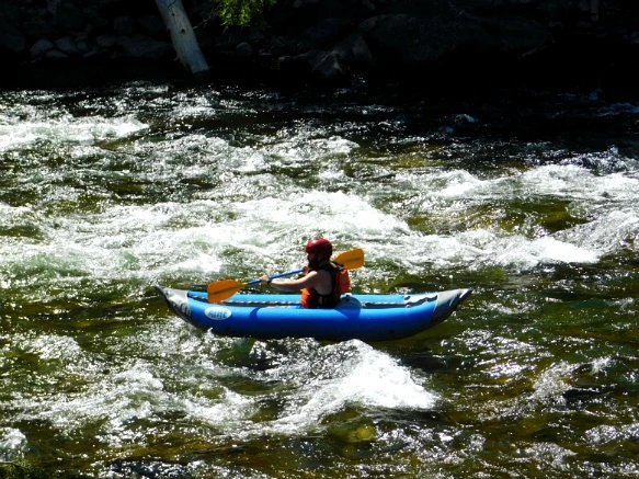 991FF73359AB28D4121997