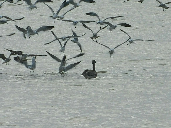 996898345BF7705C2E31A5