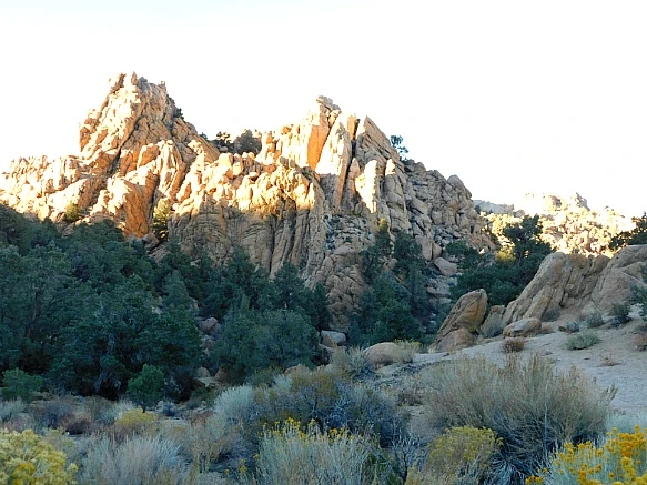 9915FF375BD3E4C11FB05D