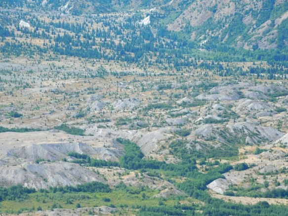 998F503359A4AE260D7D54