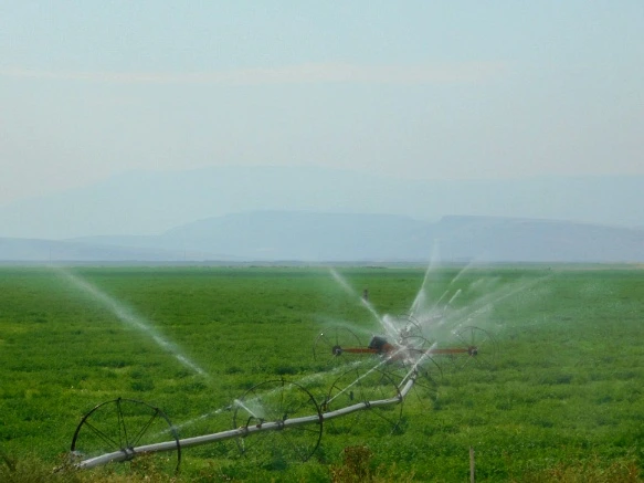 99CBE23359A779D81947BE