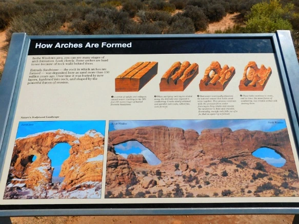 99C55A3359B317600B2BBB