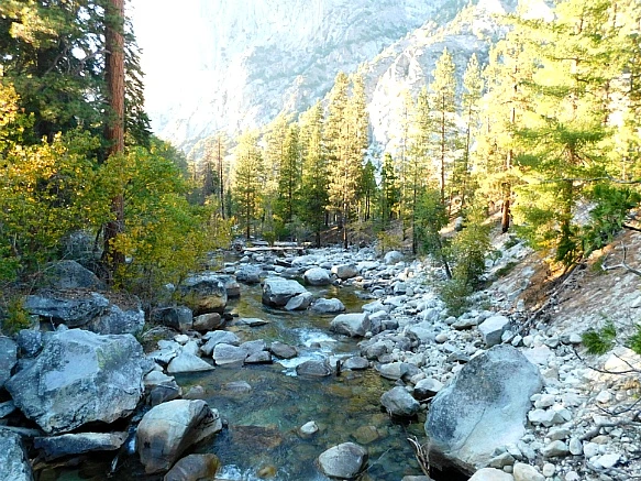 99BA0C4A5BDBD9931FB2D7