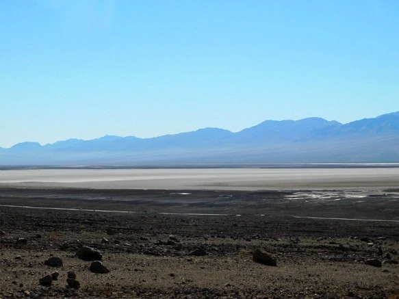 99AC56335A23AD4B293415