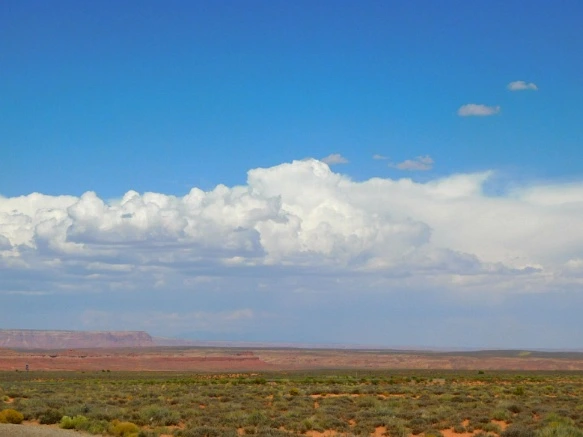 99CAB53359BDC042188B13