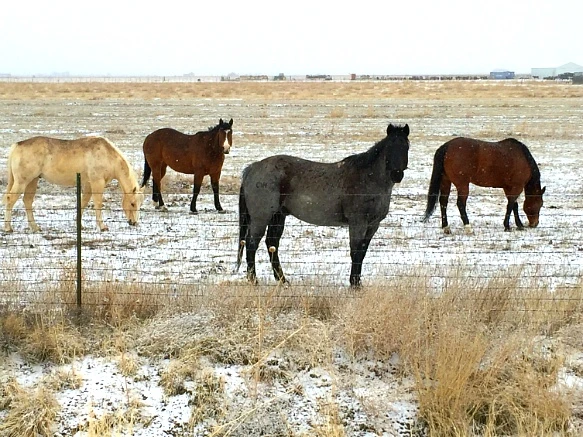 27244F3F5701DC5823DEF5