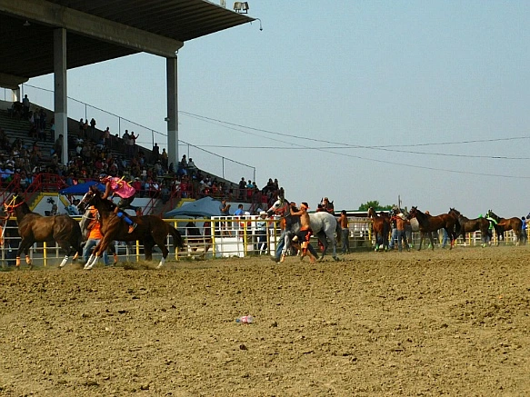 990F31345B7D9E9F02228C