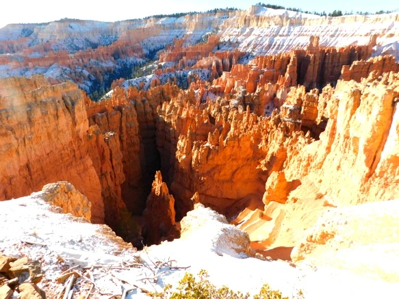 995B63335A1A38811C9E08