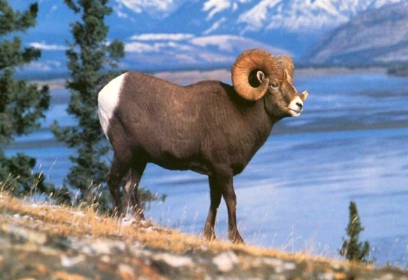 2233894F57784633184B1E