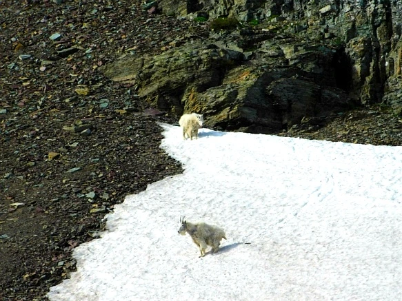 995C62465B3577A10EC76D